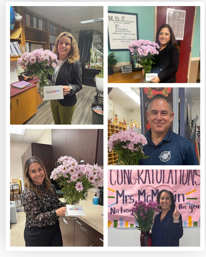 Pamela Damonte VN-VG Community of schools tweet media