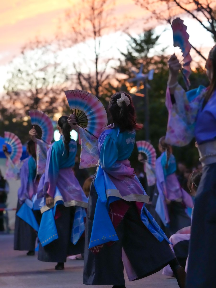 なおや ケルベロス Amazon.co.jp: XINGYUNSHI カードキャプターさくら ケロちゃん