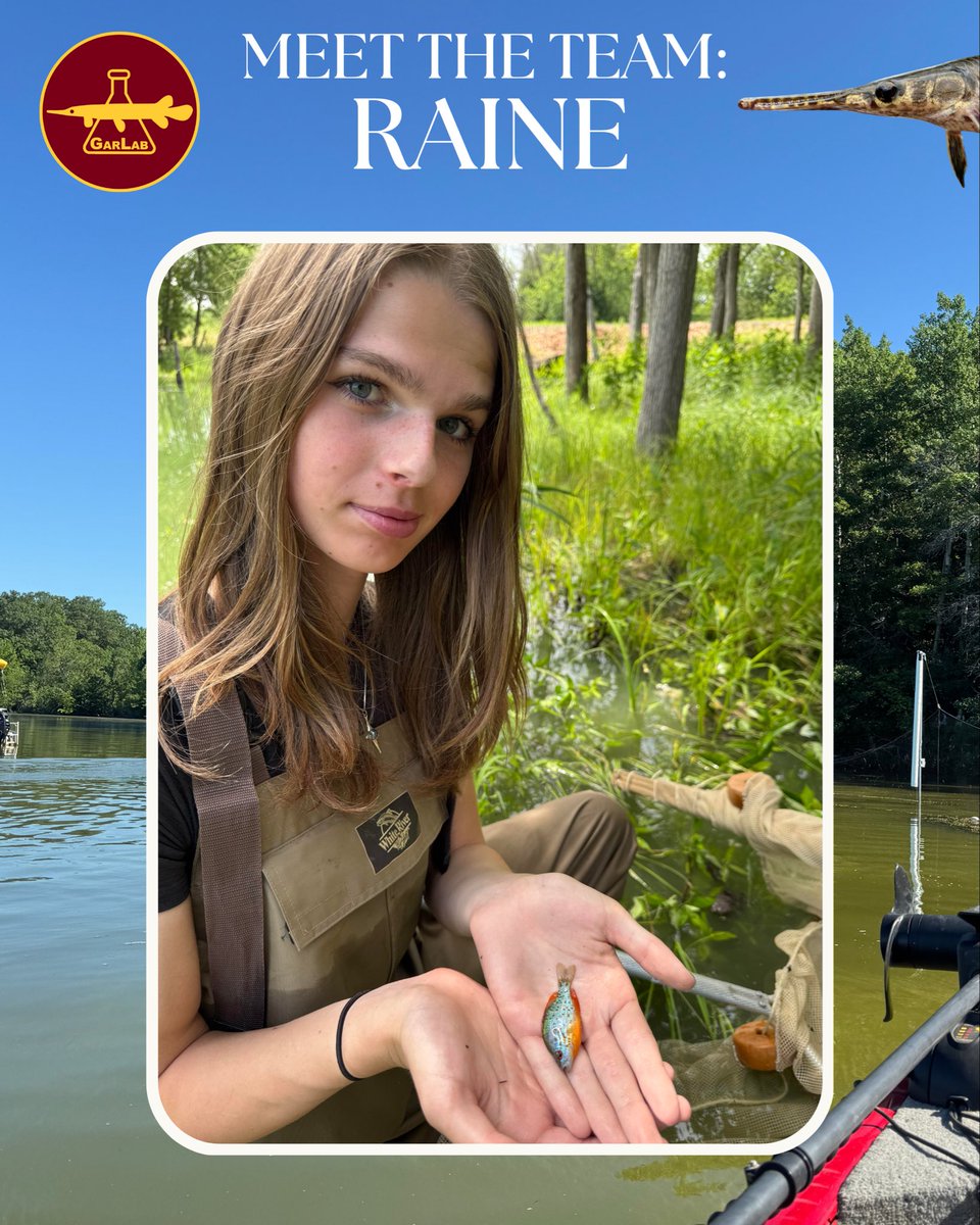 TheGarLab's tweet image. Meet #GarLab member Raine Flynn!
Raine is a 3rd year student and has worked in GarLab since it moved to MN in 2023. Her roles include husbandry of the gars, sturgeon, and bowfin in the lab, but she also helps with specimen processing, fieldwork, and science communication.#GarWeek