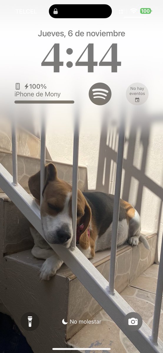 Móny Barba tweet media