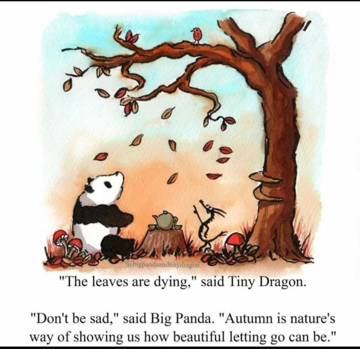 vini1412's tweet image. Letting go which no longer serves you is an art. It aches and pains , but we shld be prepared as in the end : some pains are not worth it. 
Once you let go, things unfold for the better … 
As nature says : “how beautiful letting go can be.”
#LifeLessons #letgo