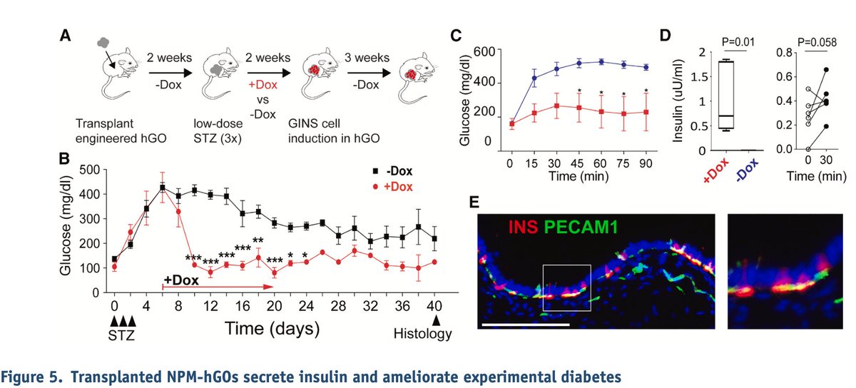 Eric Topol tweet media
