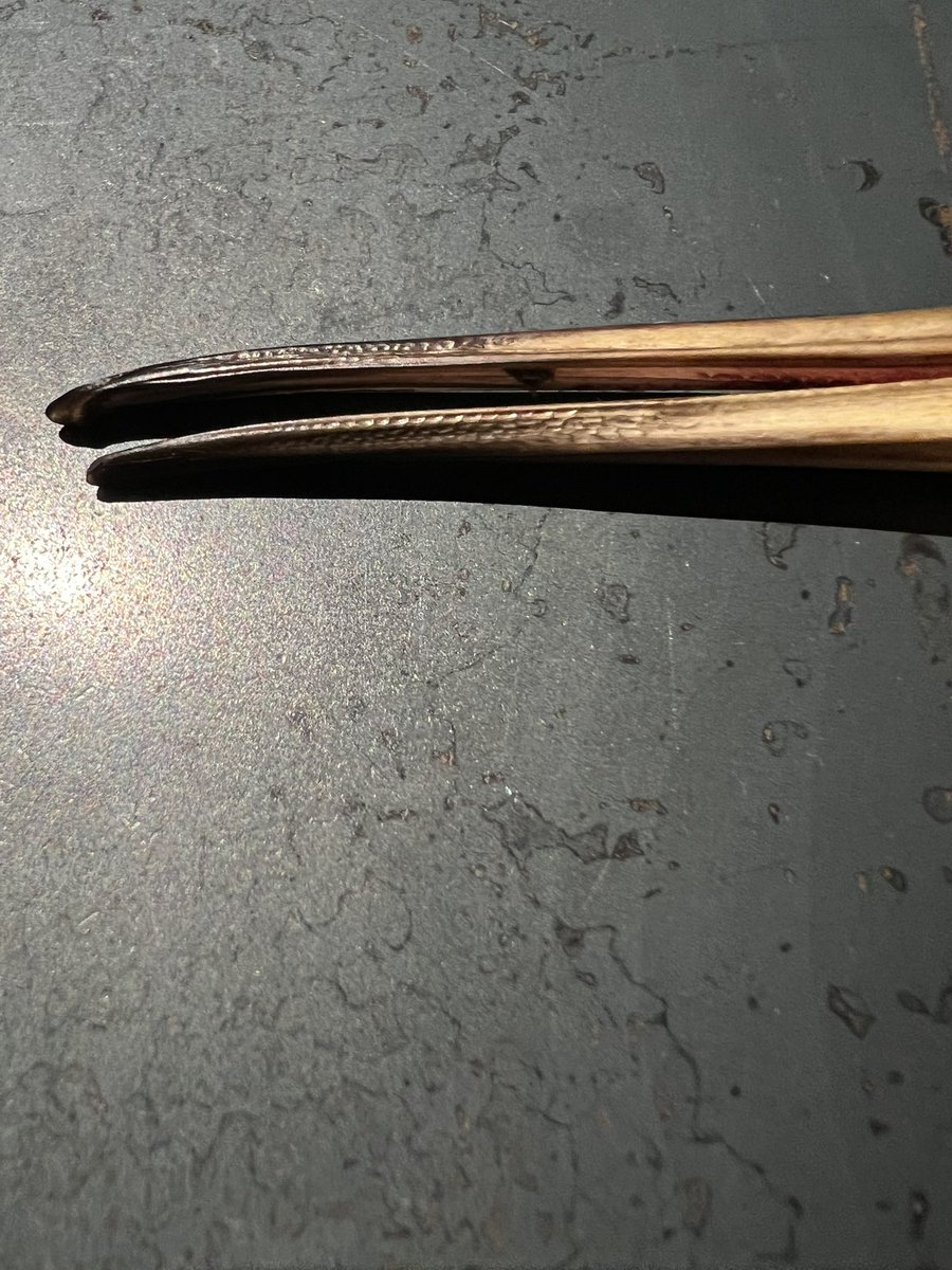 Plats Forts. Jurásico.

Alimenta lo salvaje. Otoño.