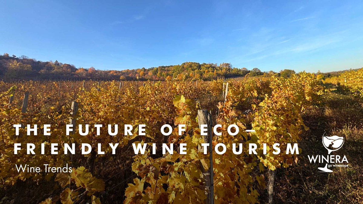 For today’s #wine lovers, it’s no longer just about the taste, but the story, ethics &amp; authenticity behind every bottle! 🍷🍷🍷
Read more: tinyurl.com/mr2xzkrw
#Winera #Travellier #SustainableWine #OrganicWine #WineTourism #EcoFriendlyTravel #WineLovers #BiodynamicWine