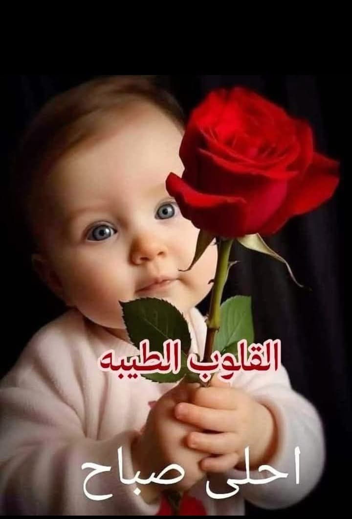 ٠٠ لم أعد كالماضى ٠٠
 تغير كل شيء فى حياتى ..
 نفسيتي ،  تفكيرى،
 تغيرت بالكامل أصبحت لا اتحمل اى شيء ،
 ولا اريد اى شيء ، 
 ولا اسمع لشيء،
 ولا أنبهر بشيء، 
 ولايهمنى اى شيء ،
ولكن يؤلمنى كل شيء...
واصبحت لا اريد احد ، أن يسألني ما بك. 
 لان اجابتى لا شيء،..
  وبـى كـل شــــيء.