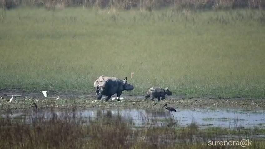 Prashant pandey tweet media