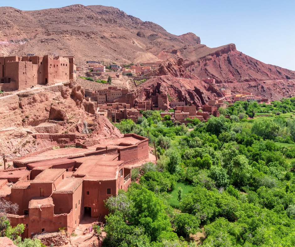 AuthenticSahara's tweet photo. Join a small‑group tour with Authentic Sahara Tours , explore the golden dunes of Merzouga &amp; Erg Chegaga, ride a camel at sunset and sleep under the stars. Book now: https://www.authentic‑sahara‑https://t.co/smWiuCsVd2
#Morocco #Marrakech #Tours #Travel https://t.co/mWWLLDGMYh