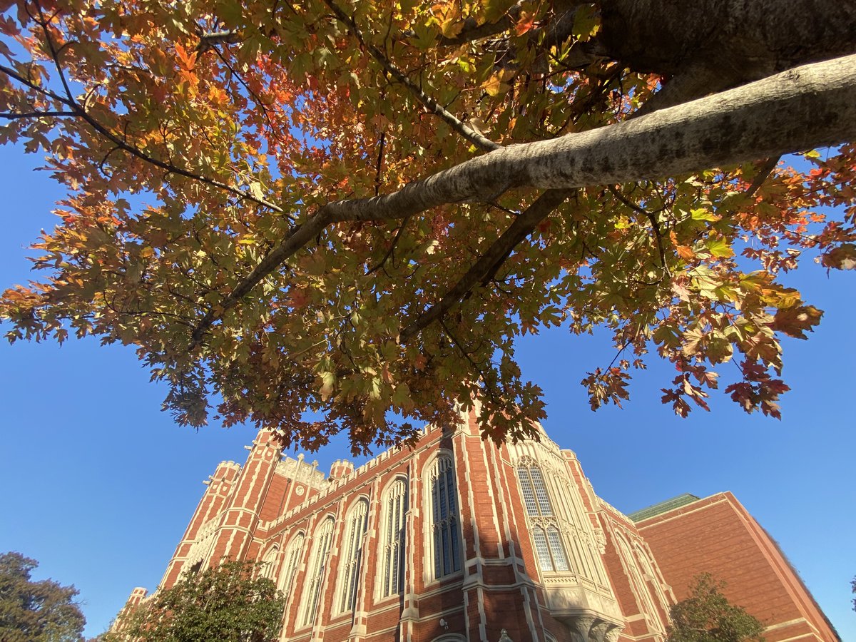 PalmeriJoAnn's tweet image. #FallColors on campus today near the Bizz 🍂#LibrariesFromTheOutside