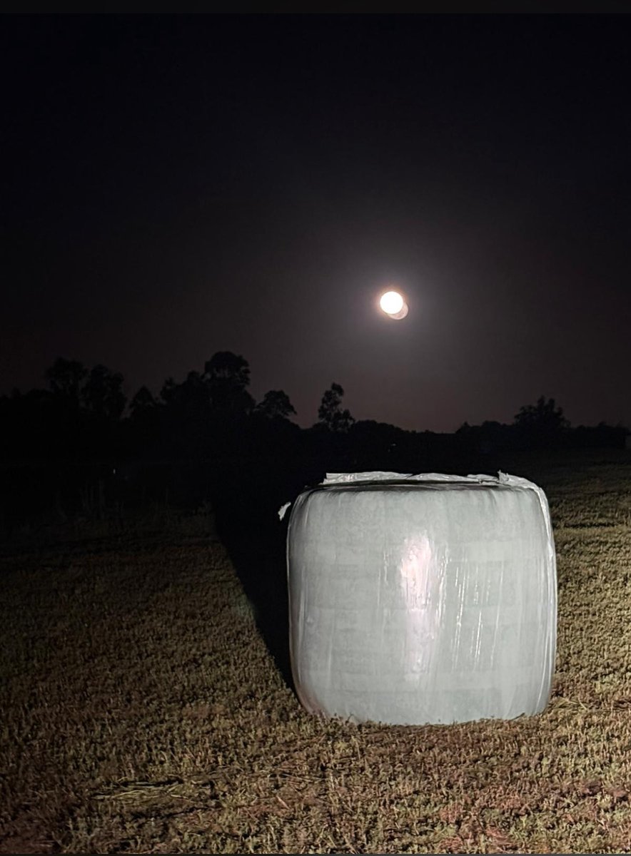 Una forma segura de mantener la calidad del pasto como recién cortado es inocular con #JosilacGrass 🇩🇪 que posee la combinación exacta de microorganismos para que la fermentación producida garantice la calidad nutricional 

#Josera 🇩🇪 
Consúltenos… <a href="/sns_uruguay/">Smart Natural Solutions SNS Uruguay</a>