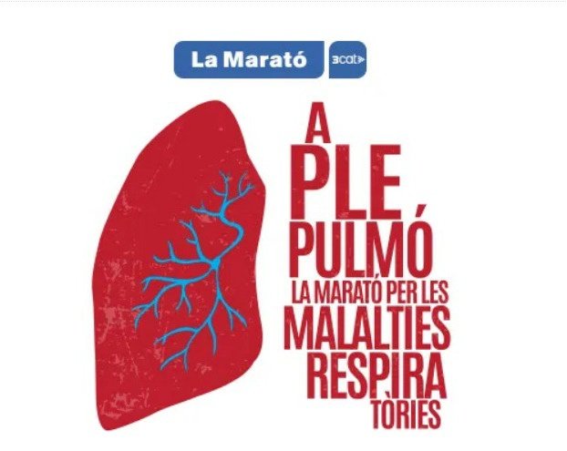La Marató de 3Cat tweet media
