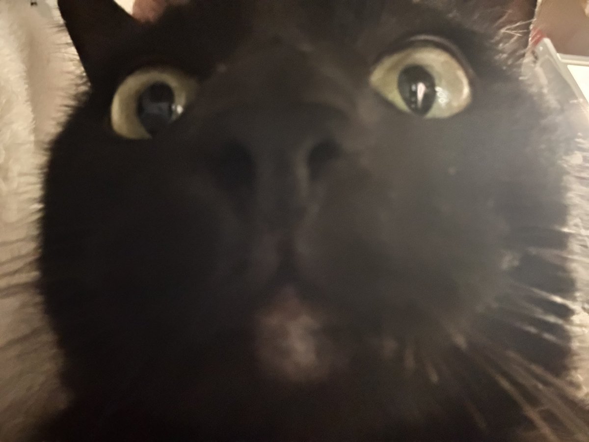 猛啃翘屁嫩男大腚反被捆 tweet media