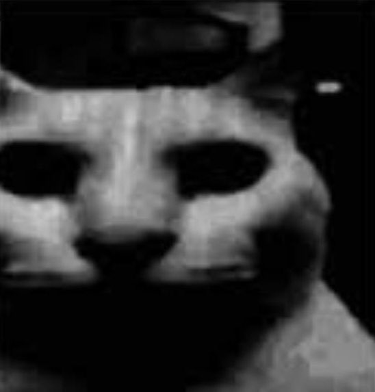 rockets (@rocketstweets) on Twitter photo 