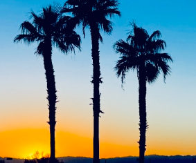 Wolfgang Gilliar tweet media