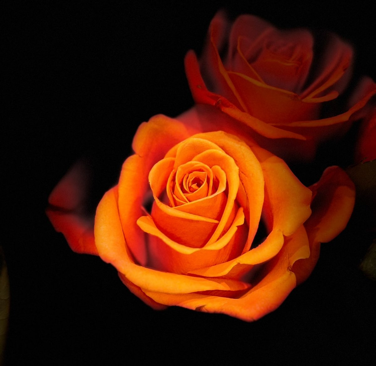 one of the  *bestest* customer service experts and wonderful experience! Yesterday.Yeah!! Where and with whom? It’s the extraordinary printshop of <a href="/MOO/">MOO</a> -Ms. Ashley-in one call got my “big project” squared away-including pre-print proofs &amp; minute detail corrections👉🏽go moo .com🌅