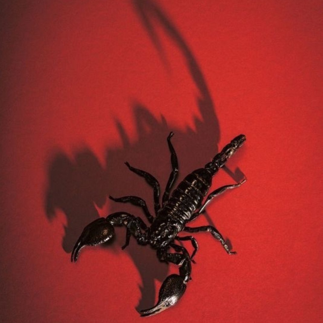 FYI I'm a full blooded Scorpio,  the November kind❗️