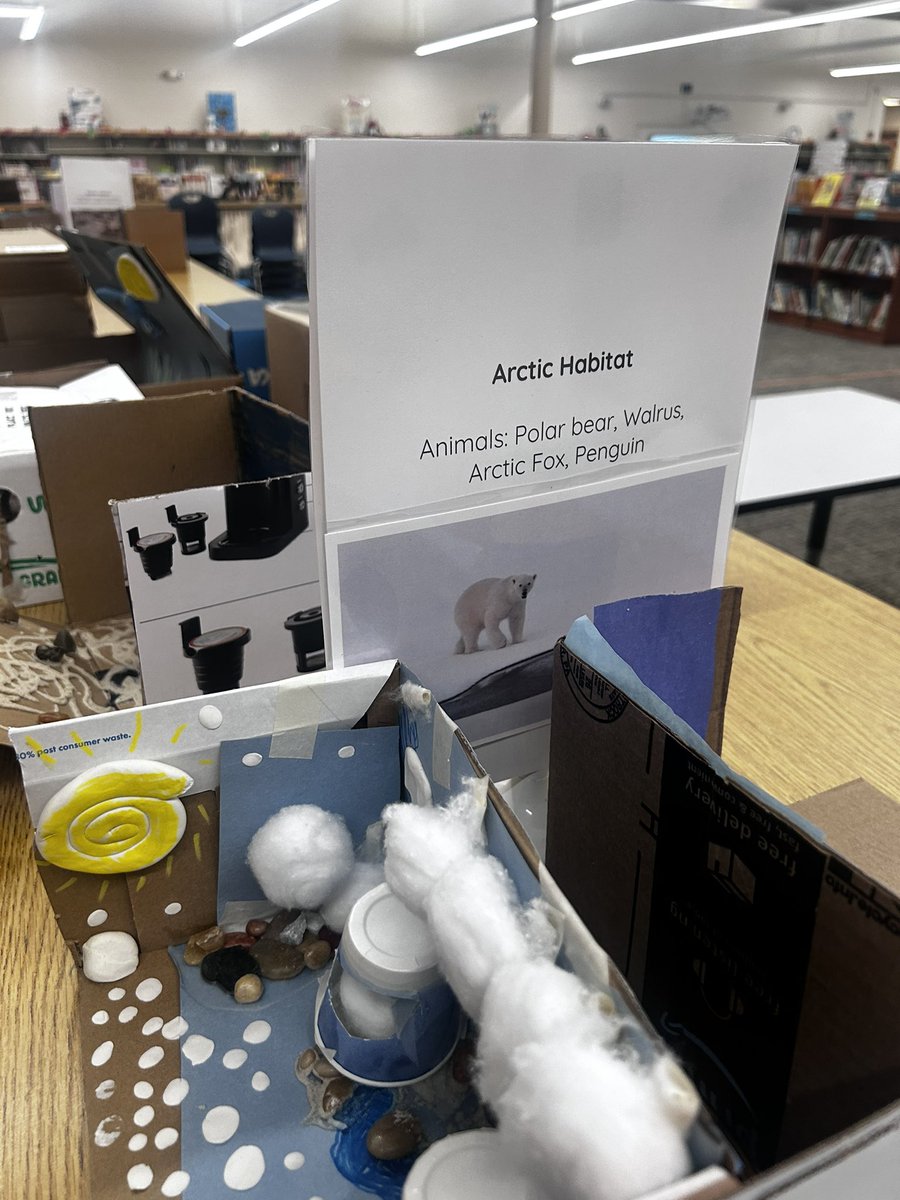 Our third grade scholars worked hard on their habitats!