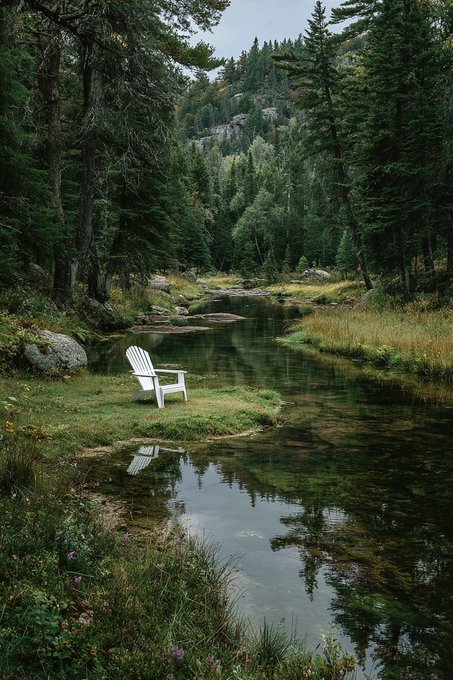 White Adirondack chair sits on grassy patch by rivers edge surrounded by dense pine forest rocky hills and flowing stream with clear reflections of trees and sky in calm water vibrant green foliage and distant mountains visible under overcast sky