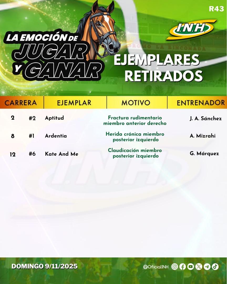 #hipismo 
#Hipicos
