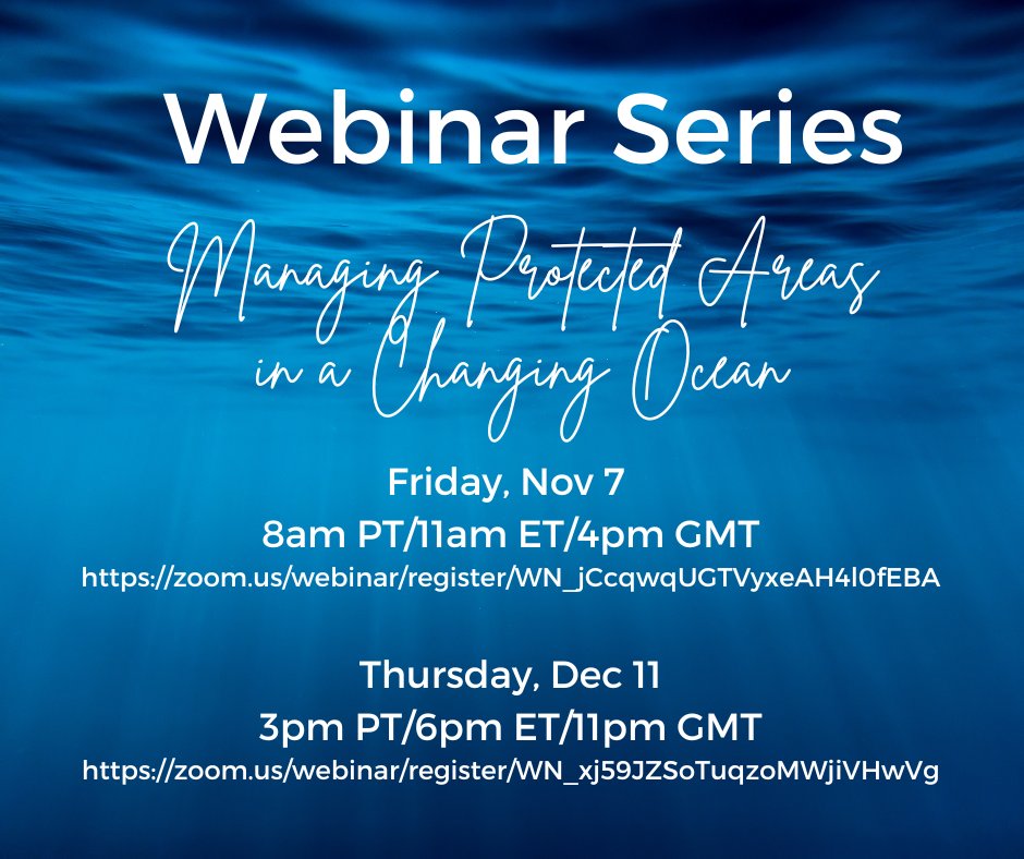 Blue_Convergence_Fund tweet media