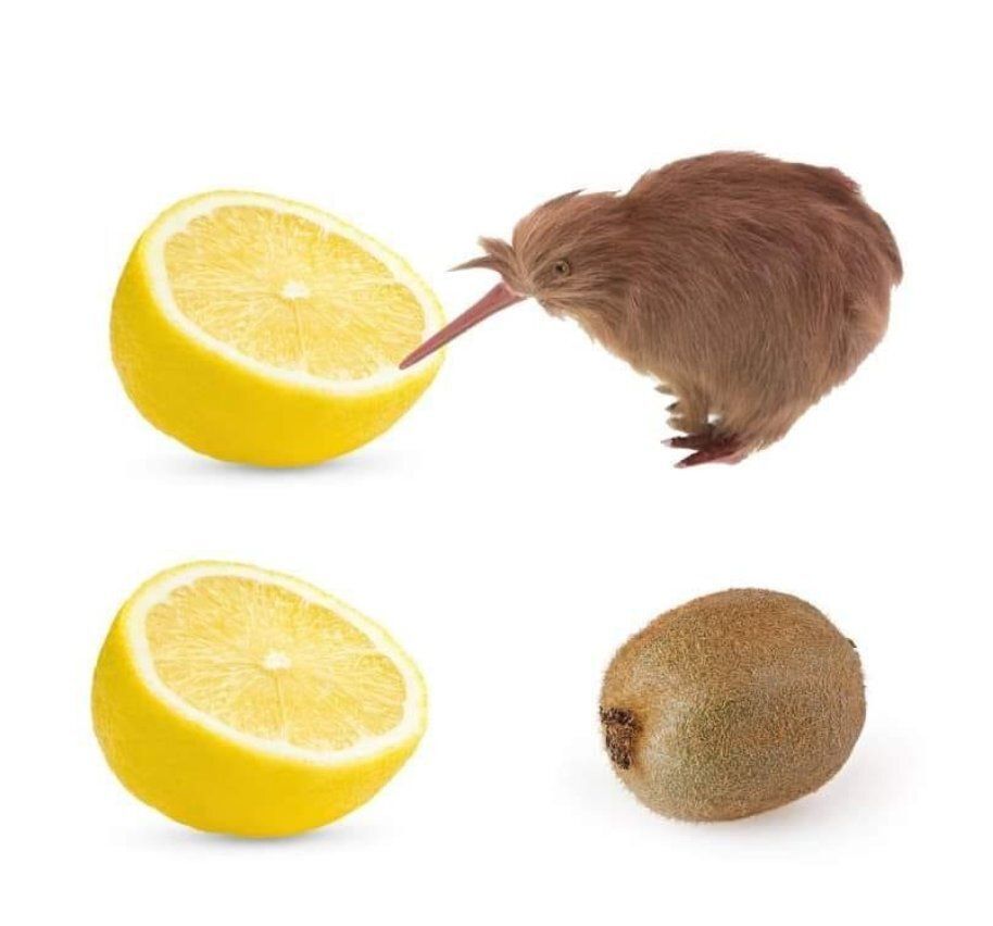 nocontextmemes's tweet image. 