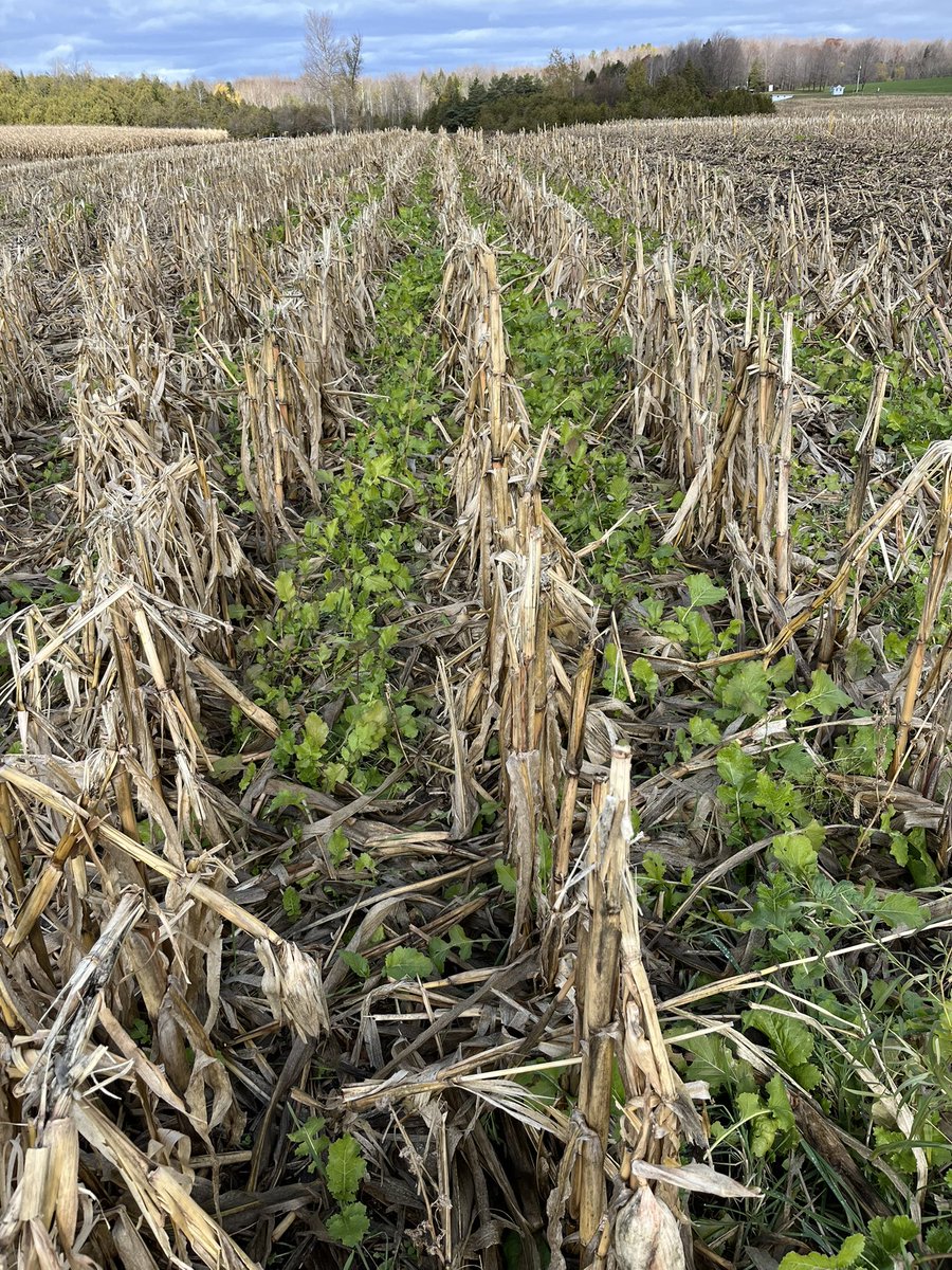 Jay Lennox tweet media