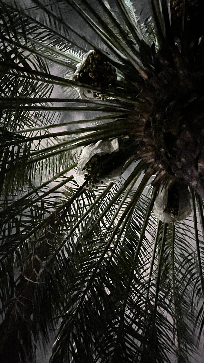 #اللهم_صل_وسلم_وبارك_على_نبينا_محمد