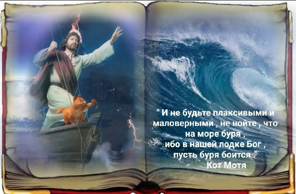 catmotya.blogspot.com/2022/12/blog-p…