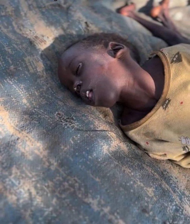 Nezaralmou's tweet photo. 🇵🇸🇸🇩Aren’t they children too?⁉️
Or is “humanity” reserved for certain colors and borders?
#ChildrenOfGaza #ChildrenOfSudan #WesternHypocrisy #SelectiveHumanity https://t.co/RjVcMfzNS3