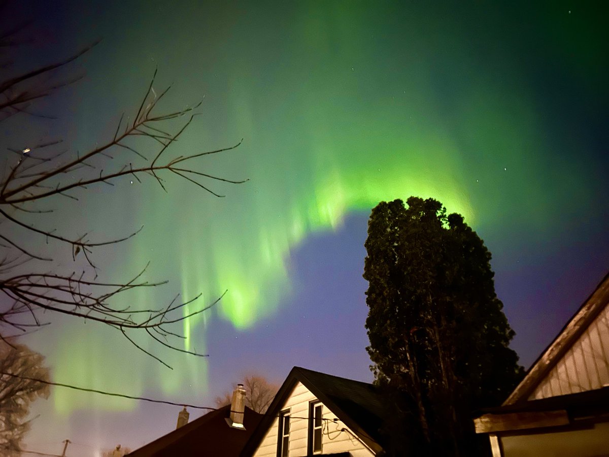 dawnio's tweet photo. Winnipeg Northern Lights ✨ https://t.co/aYpk7D2NaW