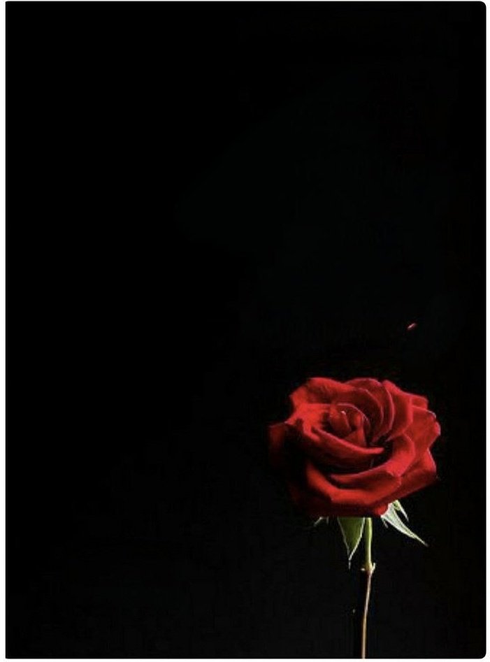 एहसास दूरियों से ही होता है, कि नज़दीकियाँ 
कितनी ख़ास होती हैं 

रूह के रिश्तों की यही ख़ूबी है... महसूस हो ही 
जाती  हैं कुछ बातें अनकही....

यह कुछ देर को मिलने वाले कितना तन्हा कर 
जाते हैं...!

यह बदनसीबी नहीं है तो और फिर क्या है
सफ़र अकेले किया हमसफ़र के होते हुए..