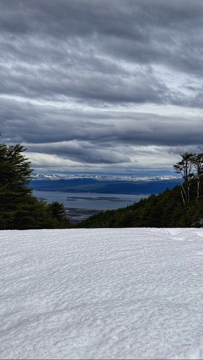 cpilaralonso's tweet photo. Ushuaia, Tierra del Fuego. 💚 https://t.co/SO5ctj2PLU