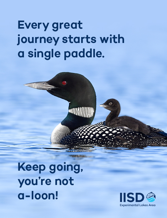 Want an easy, breezy way to connect with your friends and family?

Our brand, spanking new series of e-cards will allow you to wish your buddy a limno-tastic birthday—all while showing off your love for the world's freshwater laboratory.

bit.ly/ELAeCARD