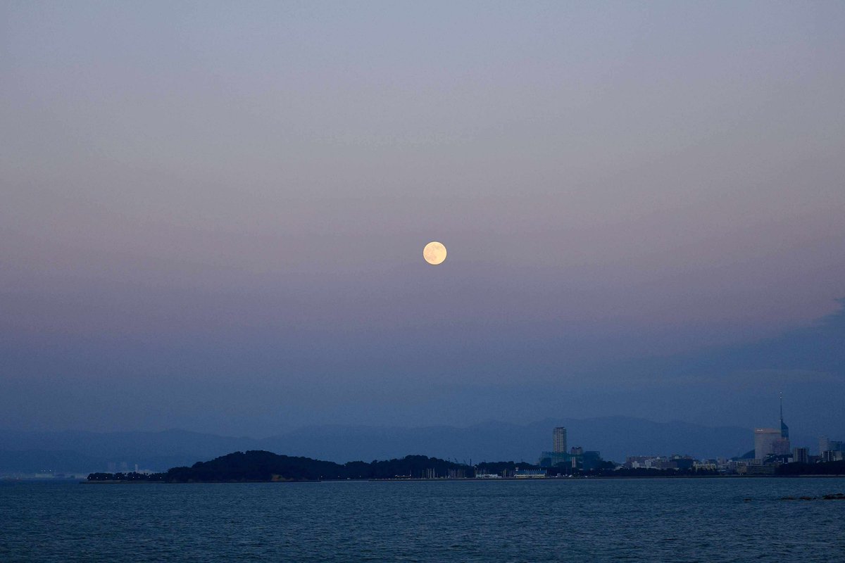 Makotonish45754's tweet photo. 2025年でいちばん大きな満月。
福岡にいるスタッフからの素敵な写真。幻想的で静かに力をくれるような月の光のお裾分けです。
空を見上げる人がもっと多くなれば。
それぞれの夜に、それぞれの月があれば。
#moonrakers #supermoon #mooncluster #moonrakerstechnologies https://t.co/QCg3bIALu3