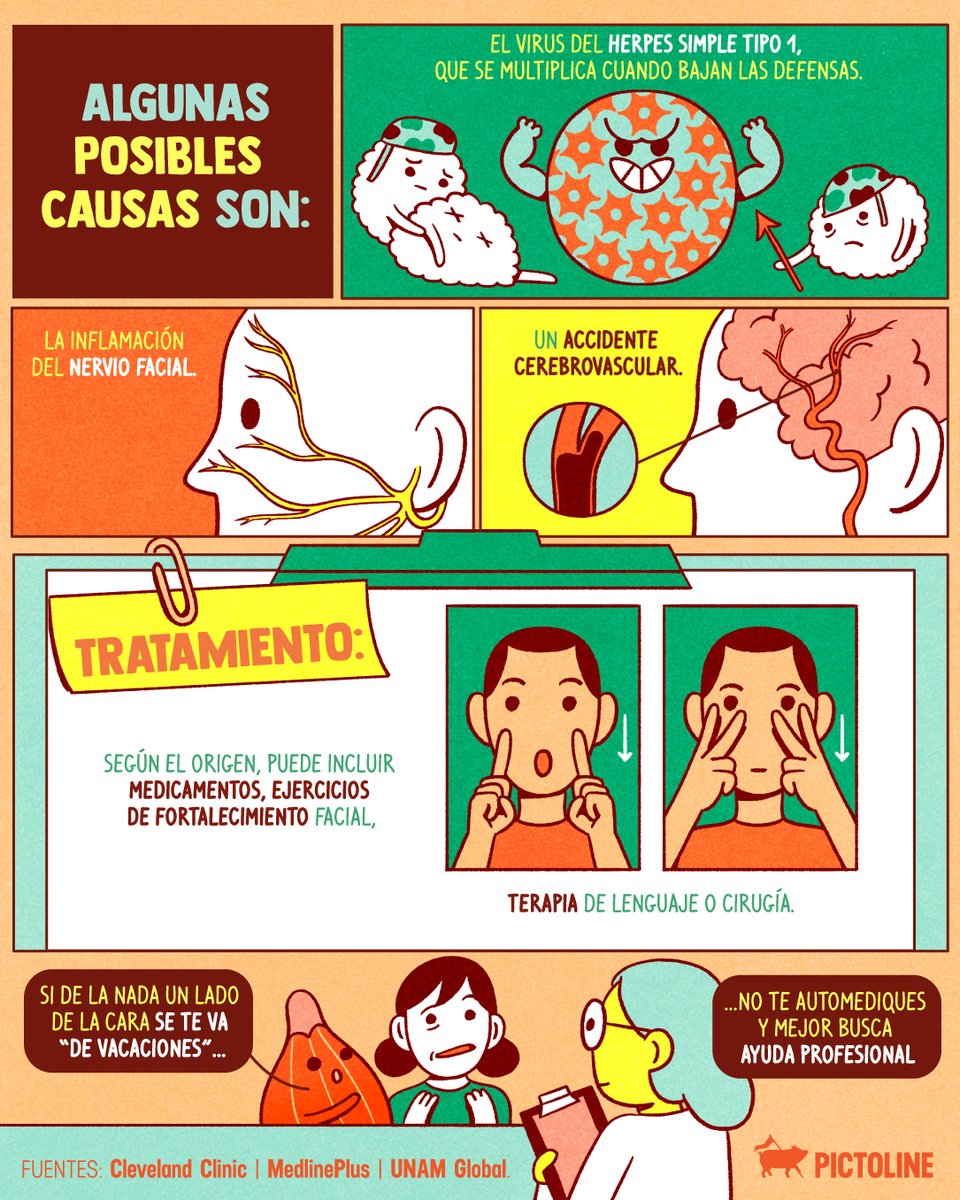 pictoline's tweet photo. 🔎 Si de la nada sientes que un lado de la cara se te va “de vacaciones”, puede ser parálisis facial 👁️🫦👁️
#paralisisfacial #paralisis #medicina #ciencia #salud #pictoline https://t.co/dExqQLN97u