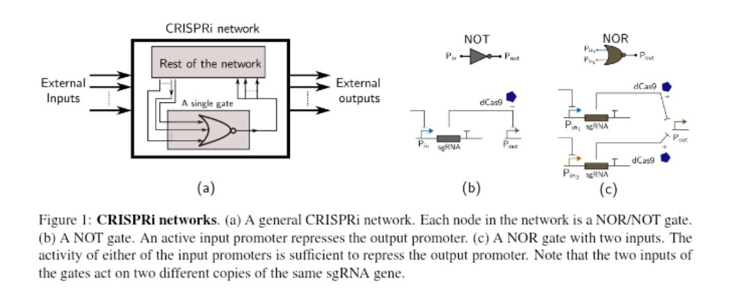 Olivier Borkowski tweet media