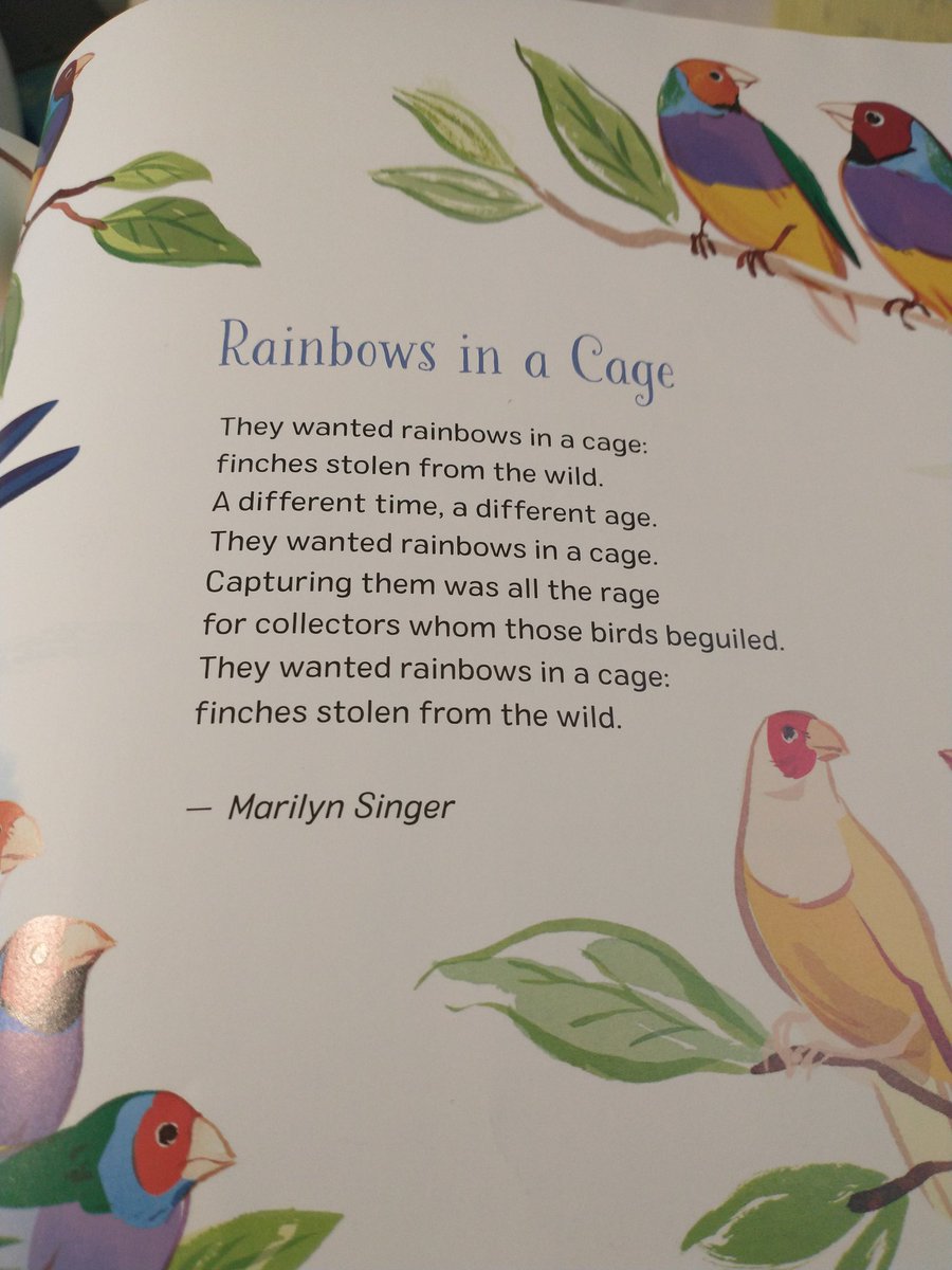 sjwritesforkids's tweet photo. Today I'm reading "Rainbows in a Cage" by Marilyn Singer from this children's poetry collection, a Universe of Rainbows. What are you reading? 🌈 #kidlit #authorsread #readforjoy https://t.co/QNSQXYHGBR