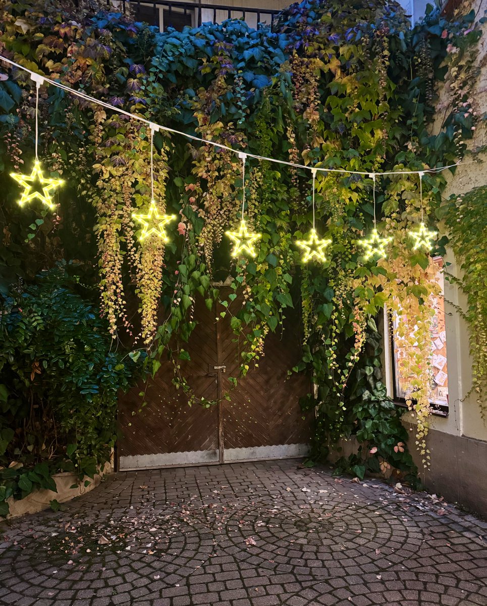 Christmas lights are up  ✨💫
Call me biased, but our inner courtyard is hands down the prettiest in town  ✨😍😆