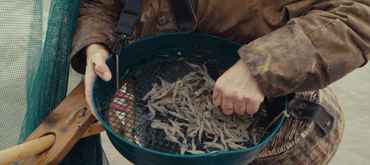 Severn Piscator tweet media