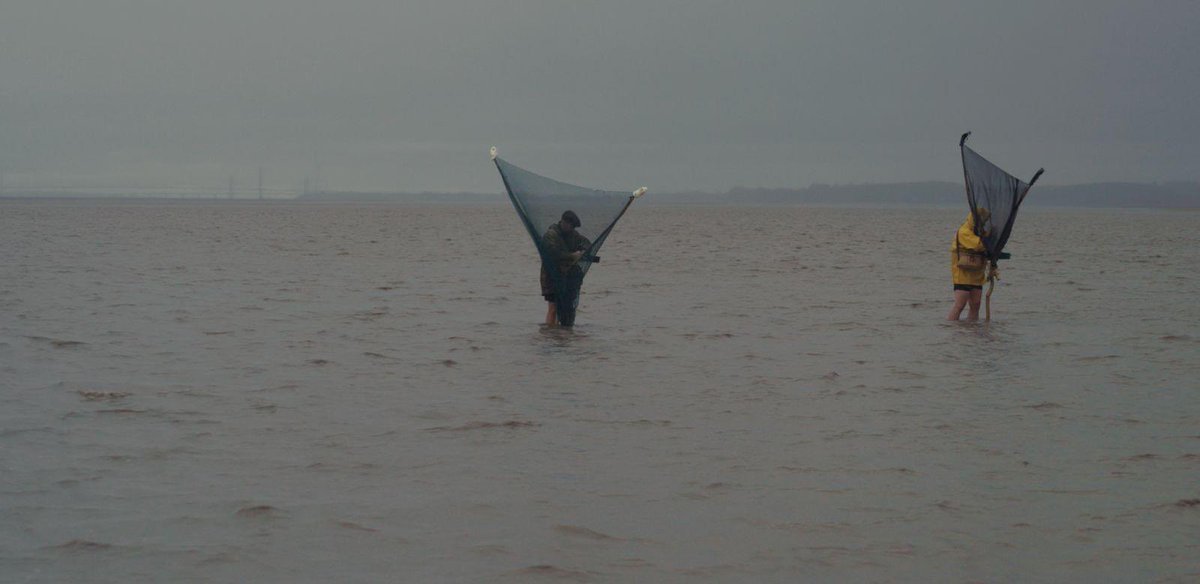 Severn Piscator tweet media