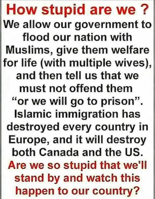 GodsAmericans's tweet image. ~ Wakey wakey American people
~ mgf ~ #NoPeace #withislam #Terrorism #religion #wedontwantyouhere