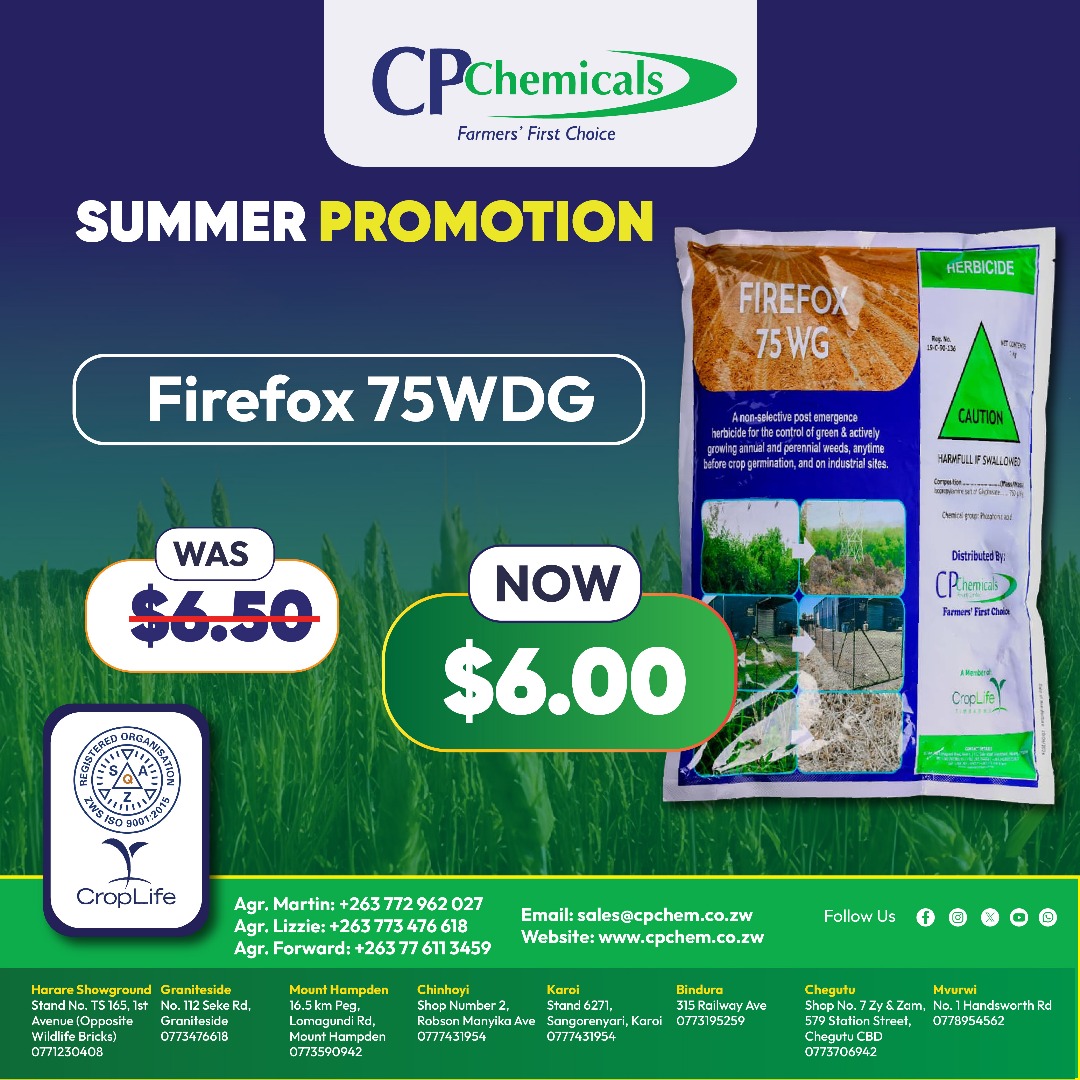 Forward Makasi-Snr. Agronomist🇿🇼 tweet media