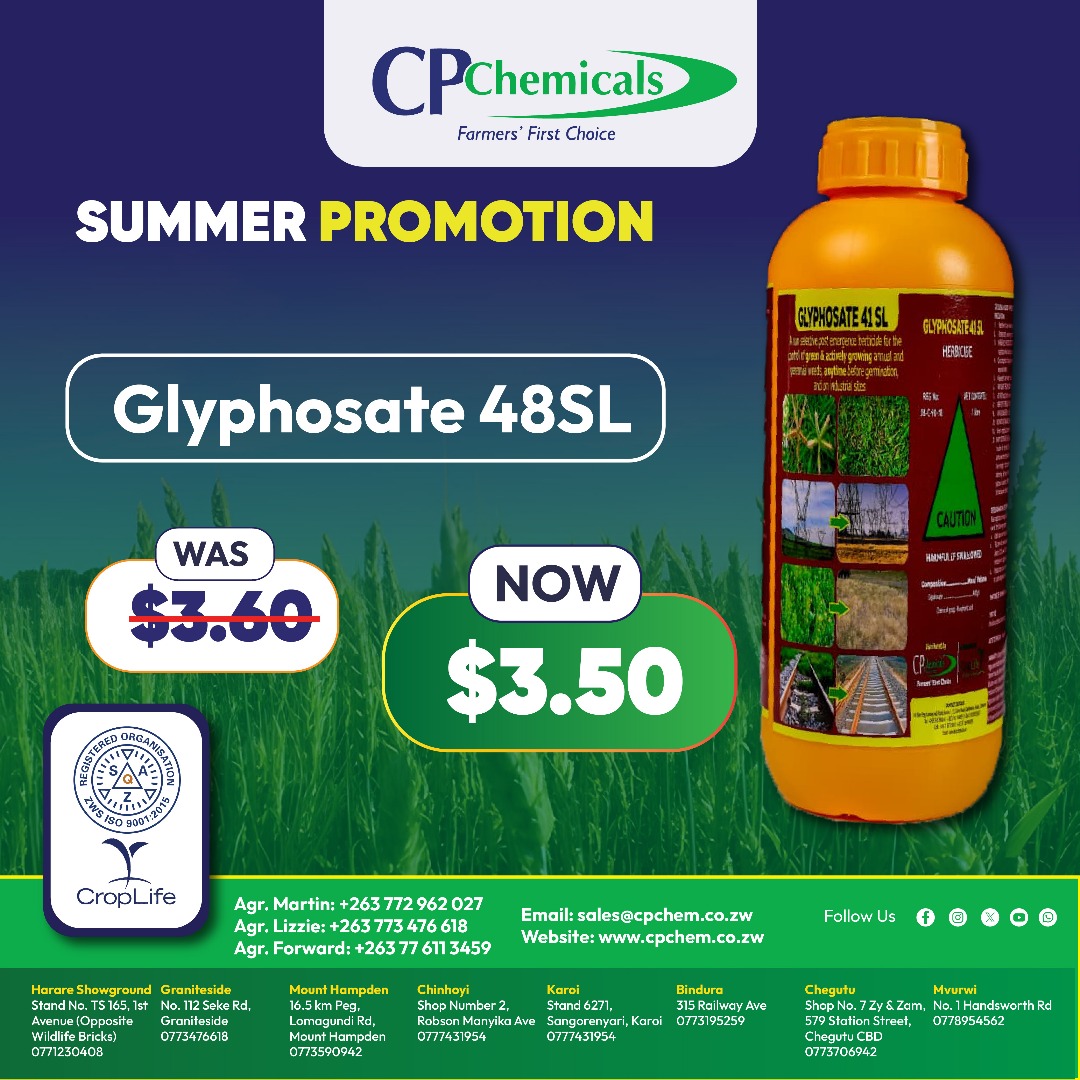 Forward Makasi-Snr. Agronomist🇿🇼 tweet media