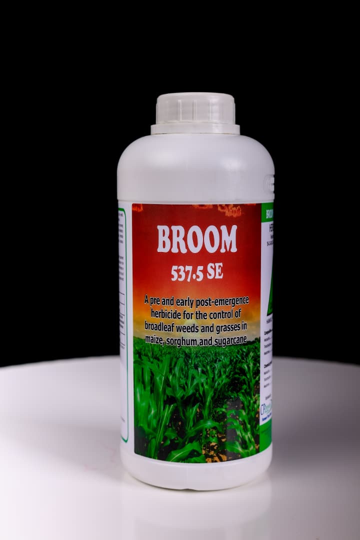 Forward Makasi-Snr. Agronomist🇿🇼 tweet media