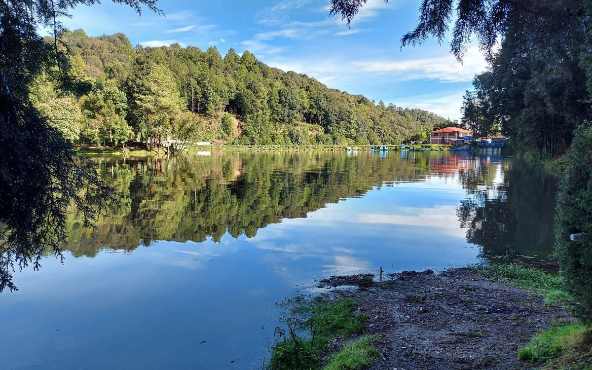 🌳💧🌎Porque proteger los #Bosques es proteger el agua...

La alianza entre #AguaCapital y <a href="/ReforestamosMx/">Reforestamos México</a> busca ser un paso firme hacia la seguridad hídrica de la Cuenca y del área metropolitana del Valle de México.

 aguacapital.net/noticias/bosqu…