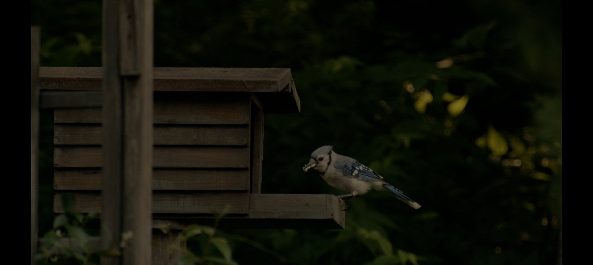 itsmeankarao's tweet image. Thanks man @CabanaDrives2
#Task ⭐⭐⭐⭐