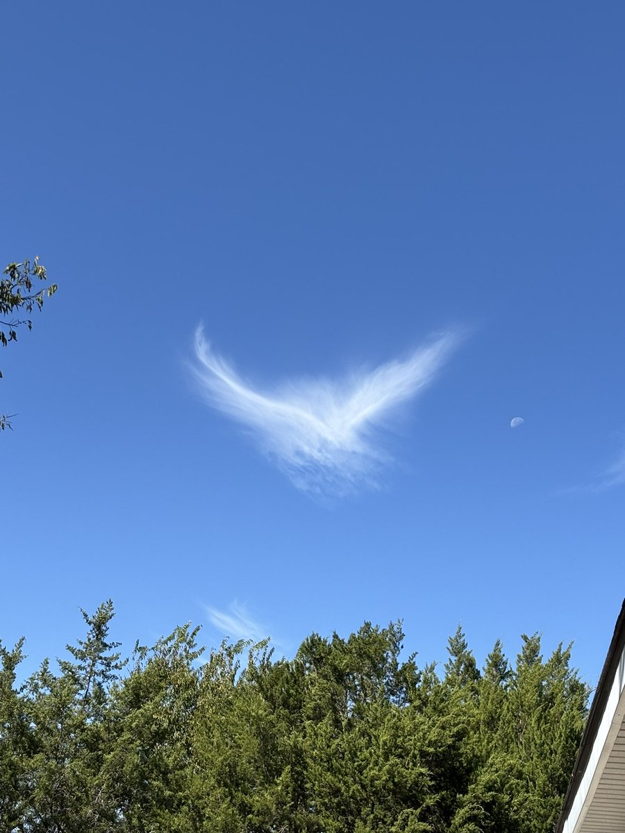 Only those who have true JV pride…can see
FALCONS EVERYWHERE!!!