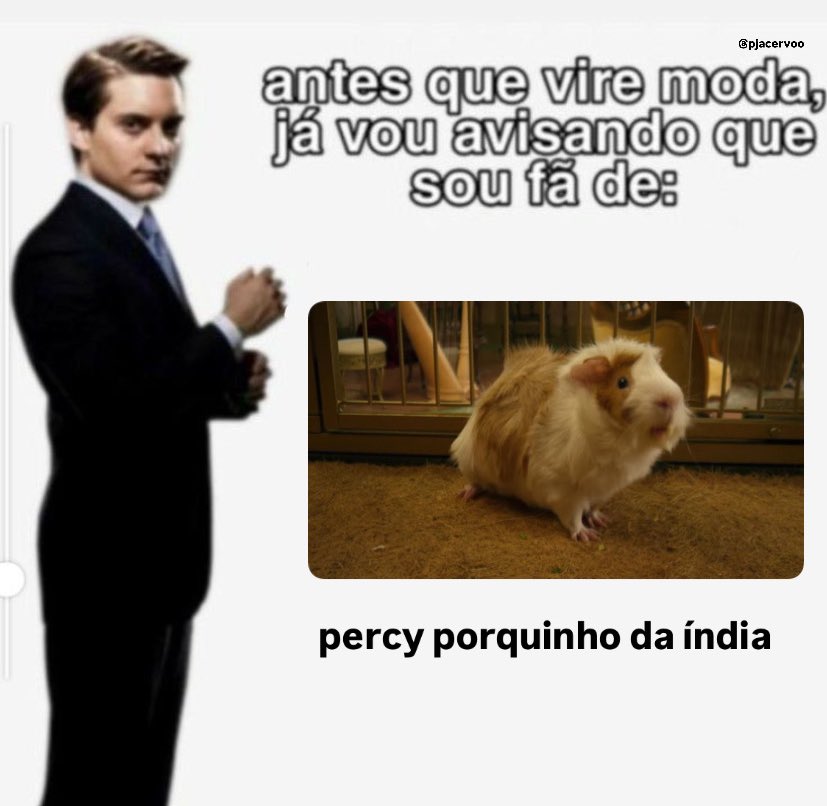 pjacervoo's tweet image. 