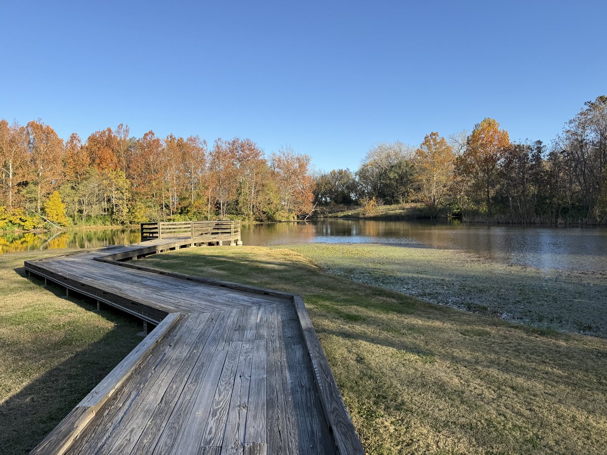 Kami Thorson tweet media