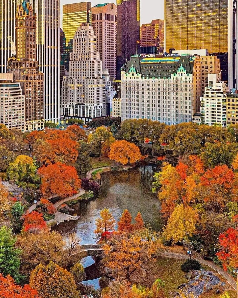 PrettyCitiesX's tweet photo. Central Park, New York https://t.co/80SQgLhchO
