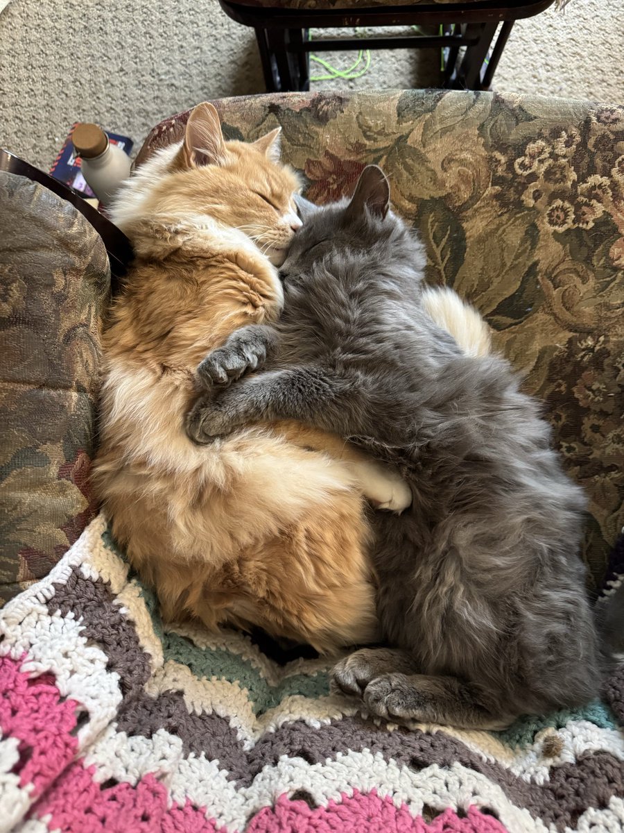 Client had fire in building.
Client has new location.
Client needed reference for old location while we were at new location scoping.
Pull out phone then Photos.
Client: Wow, that's a lot of pics!
The majority?
My Lap Kitty and memes.
LoL